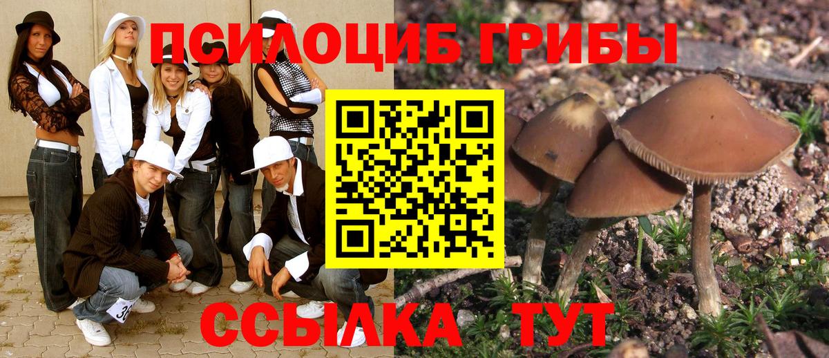 Псилоцибиновые грибы Psilocybine cubensis  Вход с VPN  Воркута  Псилоцибиновые грибы мицелий 